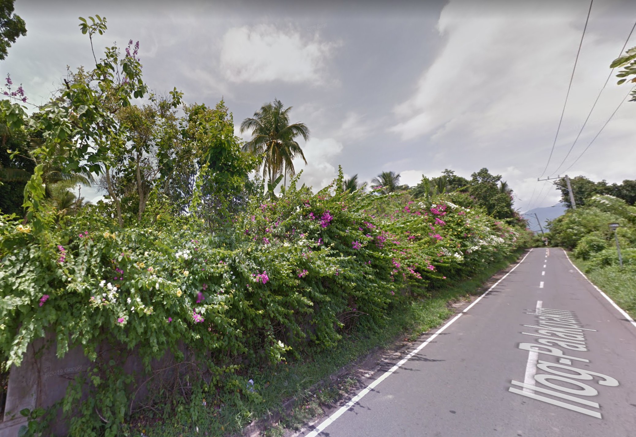 San Lorenzo, San Pablo, Laguna Farm for Sale